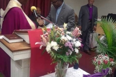 Ordination License